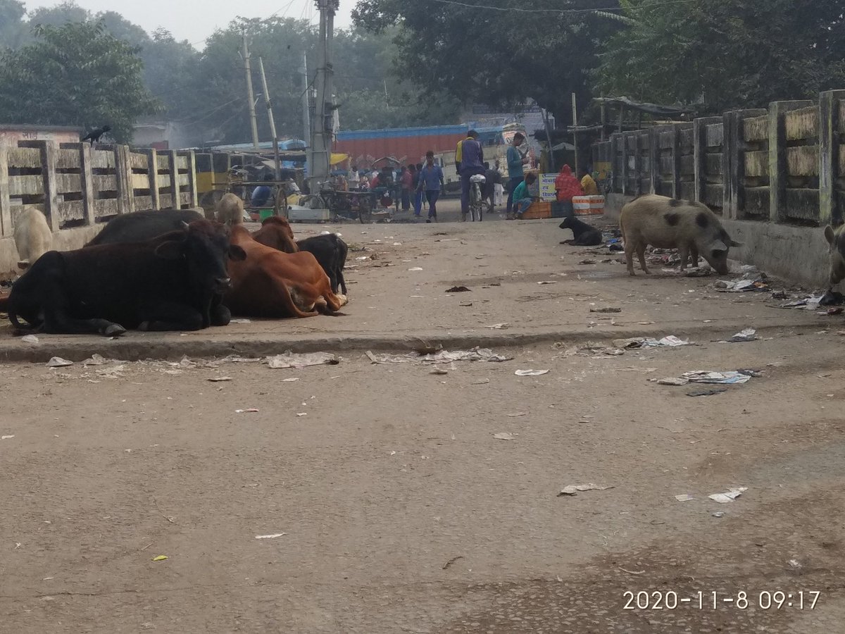 udaypratapbuxar's tweet photo. आज सुबह #letscleanbuxar अभियान के तहत बड़ी देवी मेन रोड बक्सर से लेकर सिंडिकेट नहर तक स्वच्छता अभियान को लेकर आम जनता को जागरूक किया गया।
@amandsamir
@buxarcalling
@buxaradmin https://t.co/d4pTjlB446