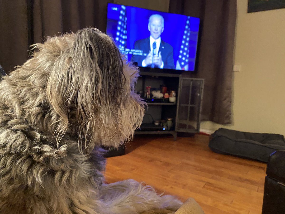 jikerkan's tweet photo. @soledadobrien Mozes is all in from Austin! https://t.co/CwpoM9XMNV