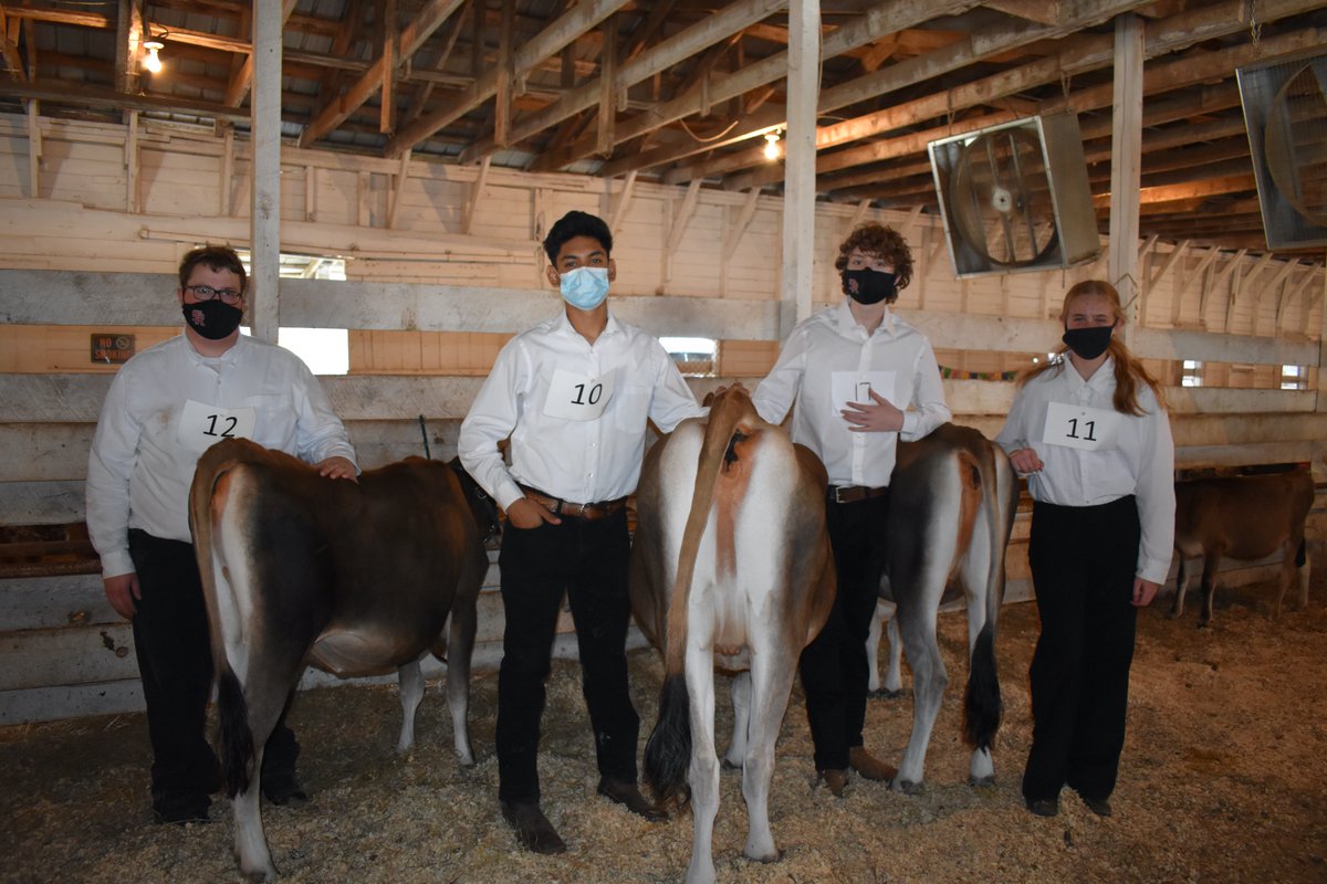 DavidMOvercash's tweet photo. Today was a nice day to spend at the Iredell County Fairgrounds, as four @southrowanFFA members exhibited heifers at the District Jr. Dairy Show.  Proud of each of them for the hours of preparation for this event. https://t.co/ldBKTv2cvI