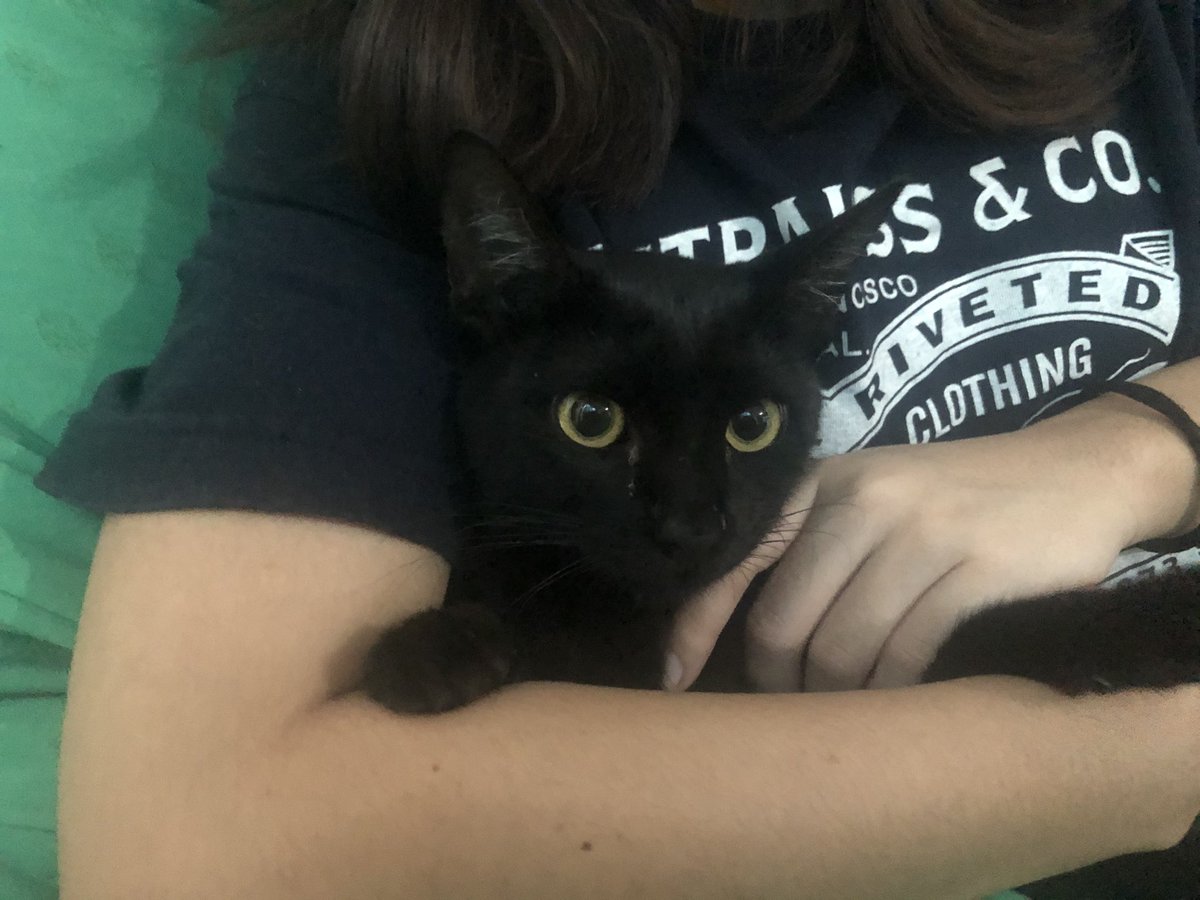 kezh99's tweet photo. I decided to finally update and yay! Ty for the black cat emoji 🖤 #blackcatsmatter #notbadluck https://t.co/1RKwCJGqkY
