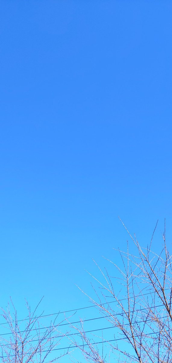 carnibal71's tweet image. 모처럼 하늘을본다..
4월 이후 하루도 못 쉬고 일 하고 있다... 휴가도 반납.. 친구들 본지도 언제인지..어느덧..11월..ㅠㅠ