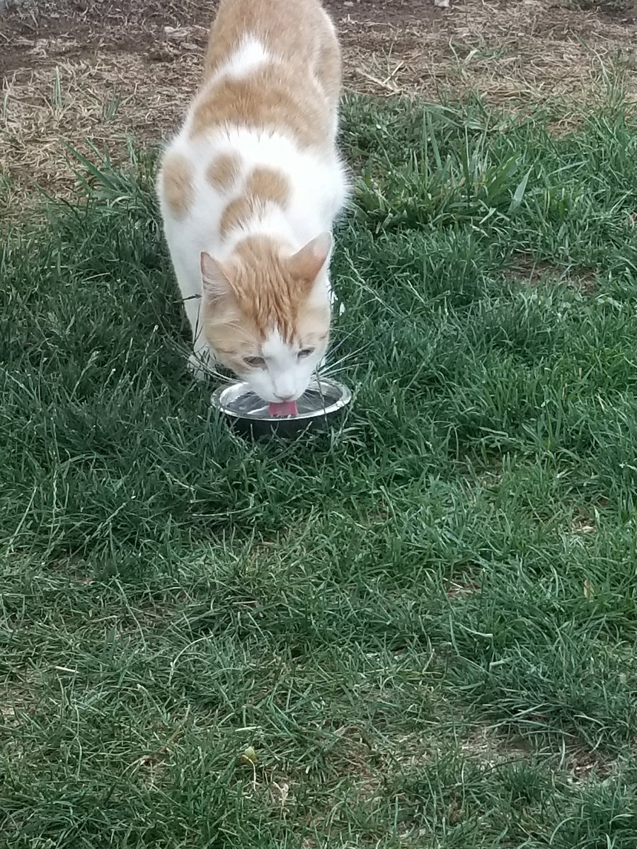 Hawt_dog (@hawtdog17) on Twitter photo 