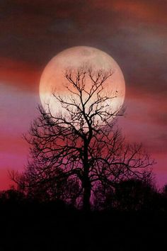 carolyn660's tweet photo. @GNRTG4gifts @Hadel @karen_w_brown @DVCMom @BootsieBoutique @CarolynNewsom @tweetamiracle @SwissNetInc @tripghetaway @ShallieBey @TstarJVZ @paulsteinbrueck Thank you, Lenore! Happy #FF and Weekend to all of you! https://t.co/3ZC9rUiqpq