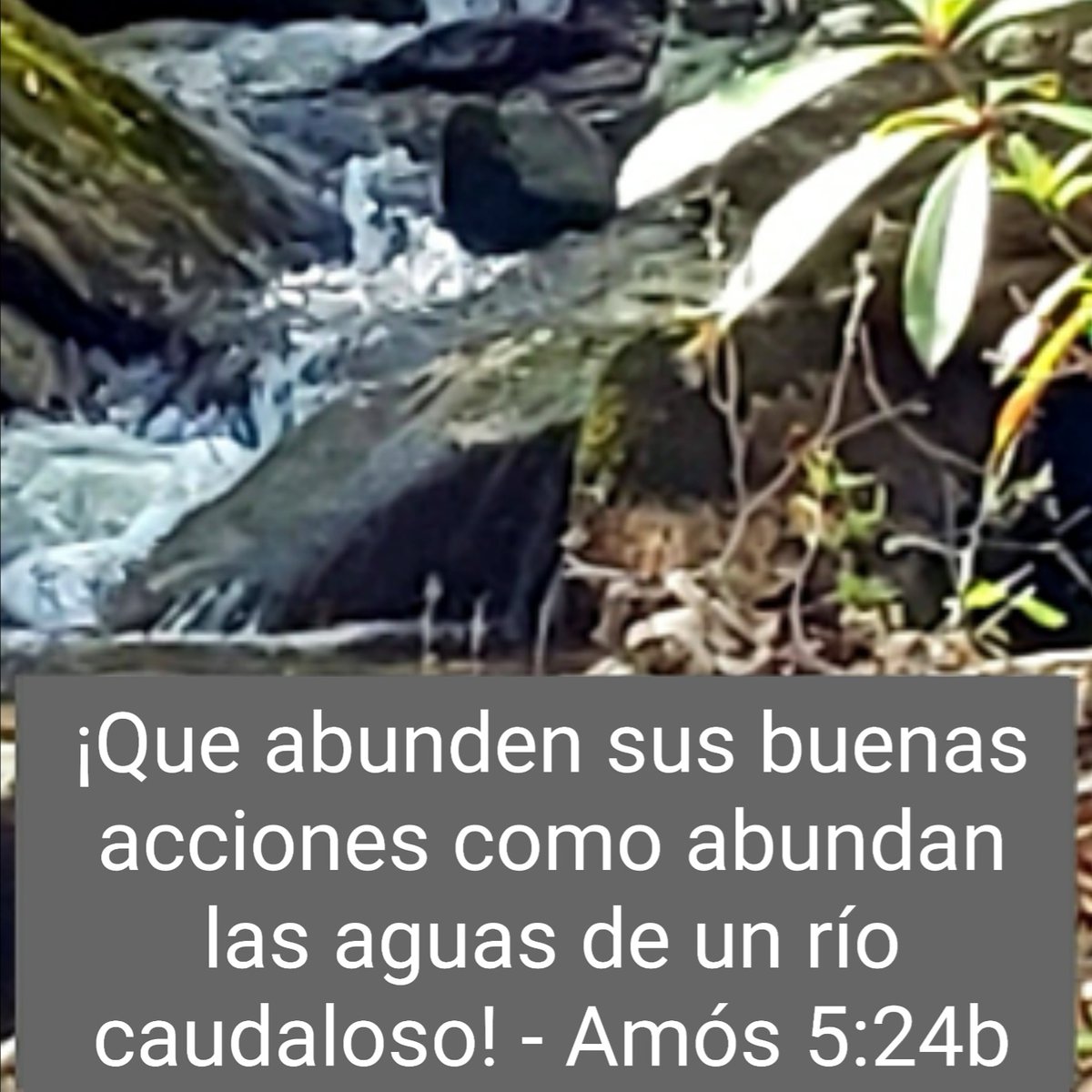 UmcWingate's tweet photo. 2020 11 08 
Esperando Inundación 
Amos 5:18-24

https://t.co/bYDxzP1m5M https://t.co/Q38nz6Qgtj
