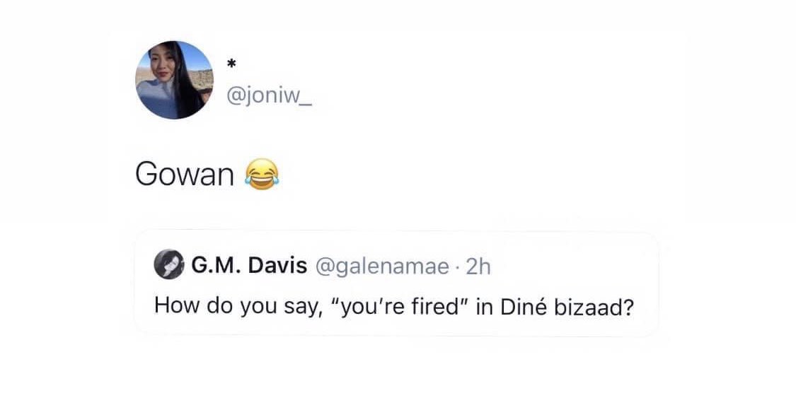 myellowhair's tweet image. 💯🤣🤣💀 #NativeVotes