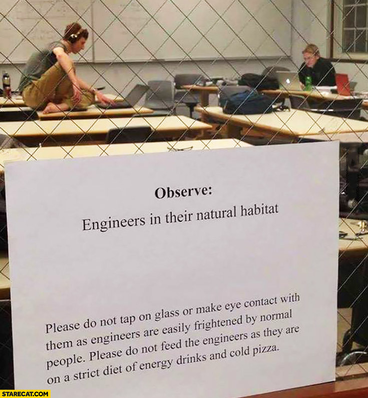 TimbergroveTalk's tweet image. #Programmers are the coolest.
Even if they were the ones who were bullied in school.
Now they're just bullied at work!
#softwarehumor #softwarememes #programmermemes #devmemes