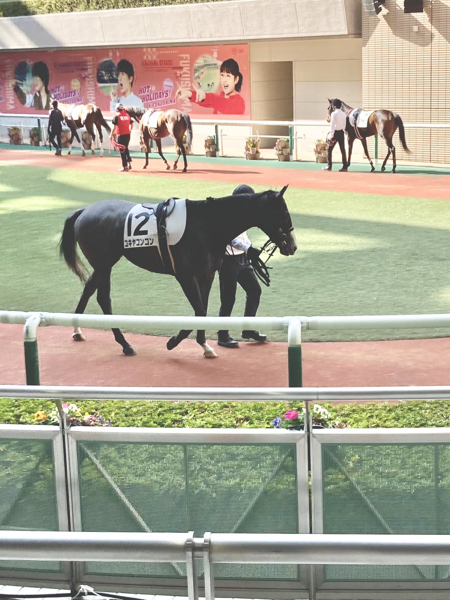 ユキヤコンコンに関するつぶやき 競走馬情報 ケイバぶ