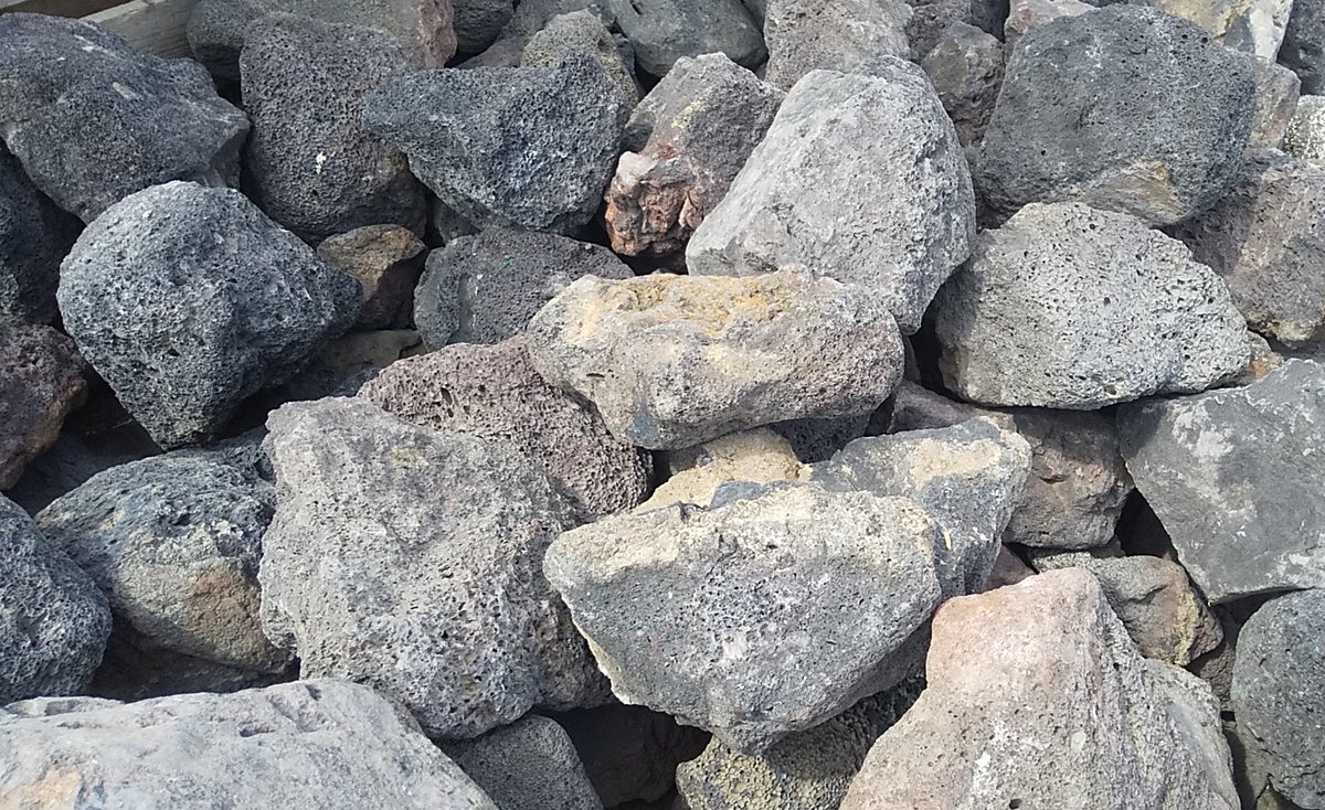 リゾートガーデン Twitter Search Twitter