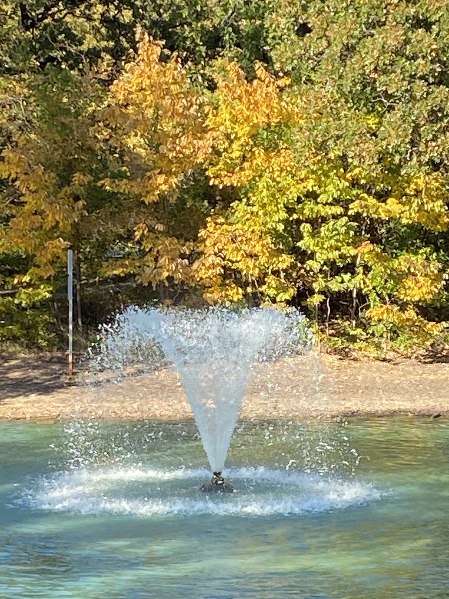 timelesssoul1's tweet photo. The water was clear and looked tropical, beautiful #fall #parktime #withmyman 💜 https://t.co/Hq46uCB7m7