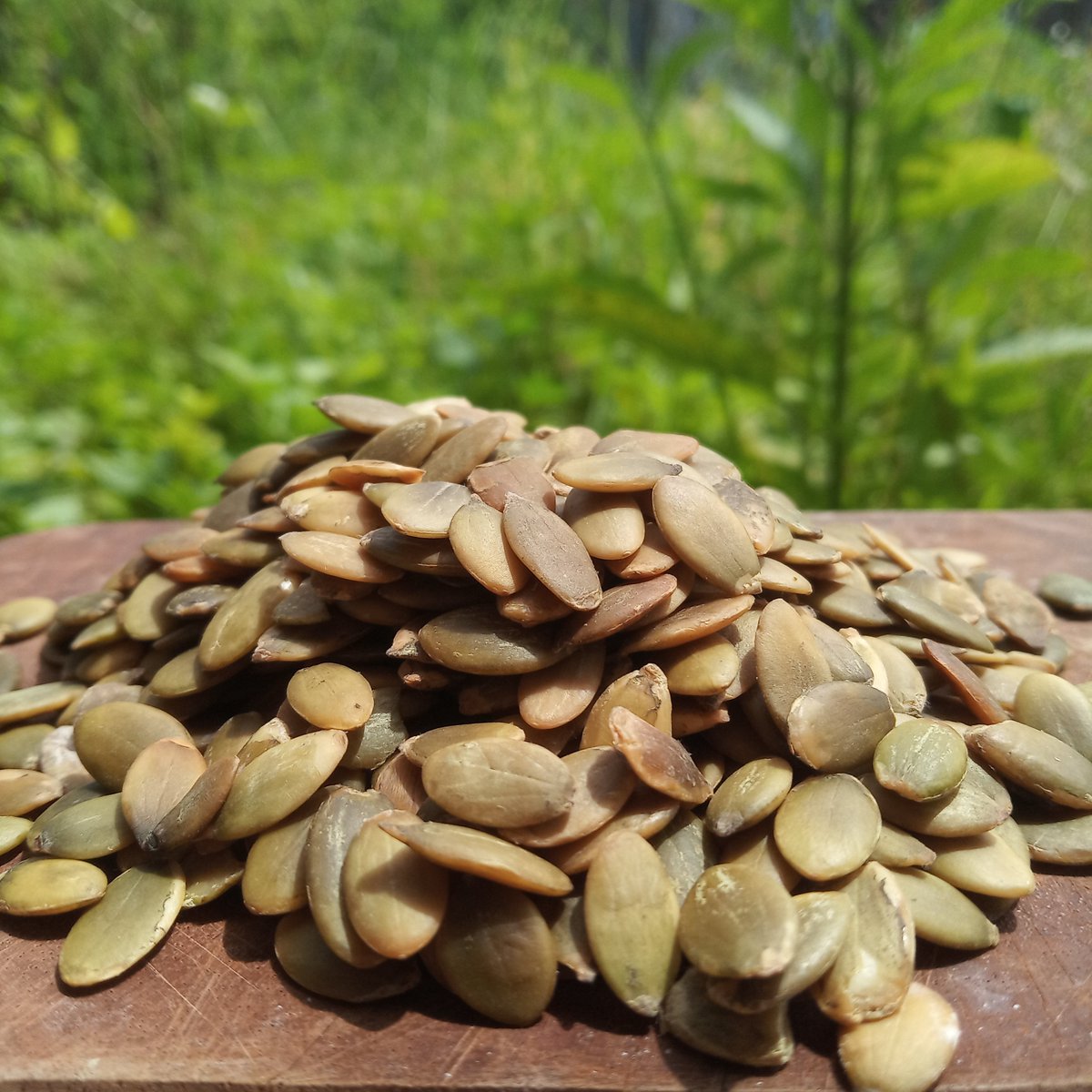 HerbsEncyclope's tweet photo. Health Benefits of Pumpkin Seeds
1. Full of Valuable Nutrients
2. High in Antioxidants
3. Linked to a Reduced Risk of Certain Cancers
4. Improve Prostate and Bladder Health
5. Very High in Magnesium

#eatclean #eatclean #fitfood #Malaysia #herb #herbs #herbs_encyclopedia #ESTEPS https://t.co/oJP9I00JiI
