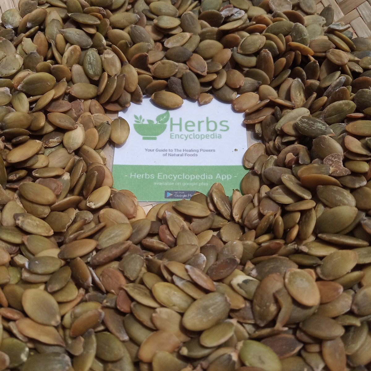 Health Benefits of Pumpkin Seeds
1. Full of Valuable Nutrients
2. High in Antioxidants
3. Linked to a Reduced Risk of Certain Cancers
4. Improve Prostate and Bladder Health
5. Very High in Magnesium

#eatclean #eatclean #fitfood #Malaysia #herb #herbs #herbs_encyclopedia #ESTEPS