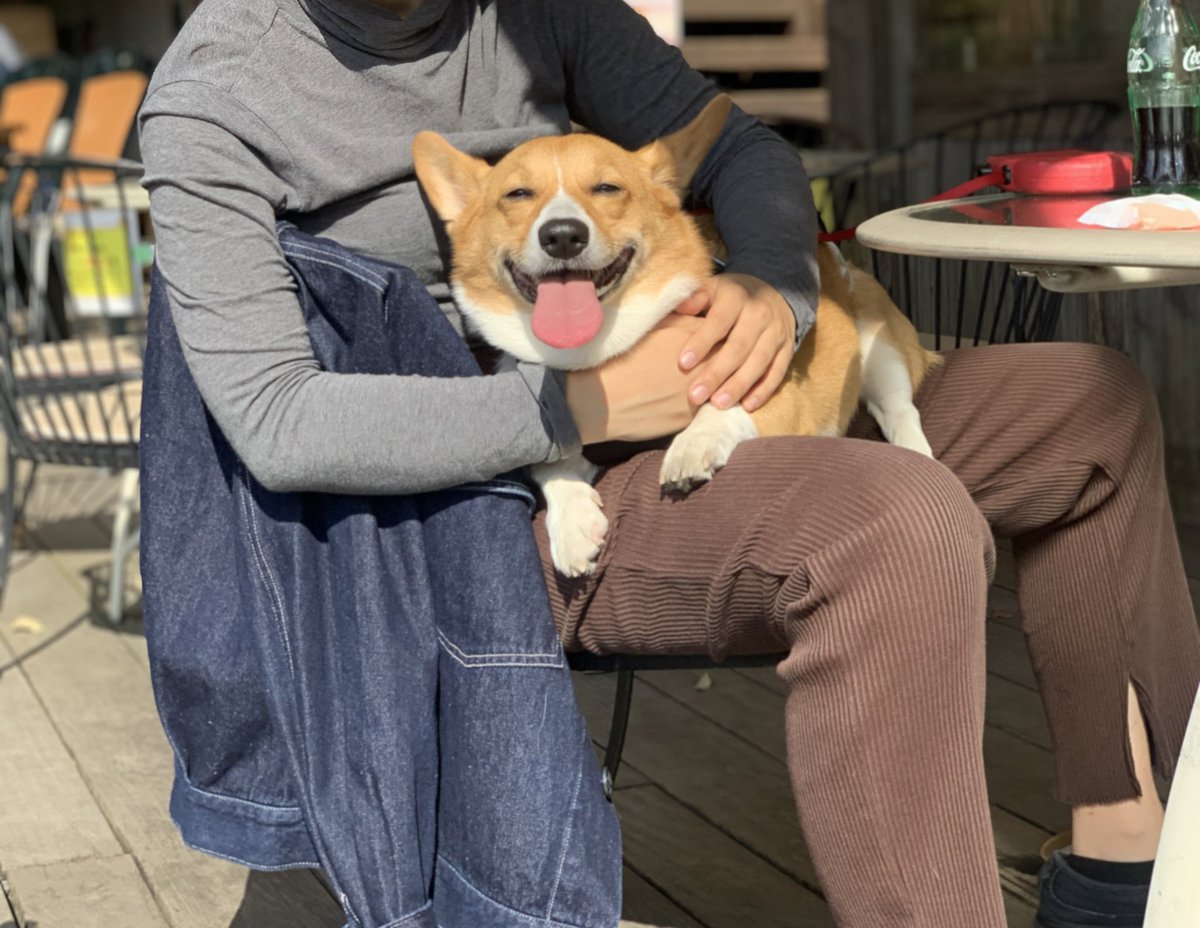 mjasami1's tweet photo. こいちゃんとカフェにいってきたよー🐶🌞
天気良くて気持ちいいね❤︎ https://t.co/zQwEiaMMTa