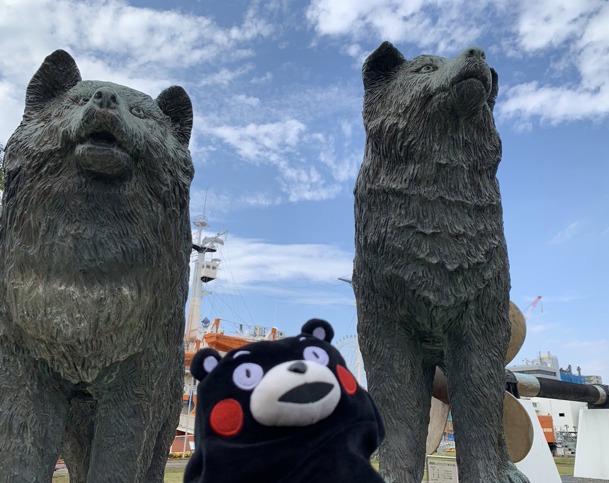 たろじろさん確認ページ たろじろさん確認ページ タロ・ジロ