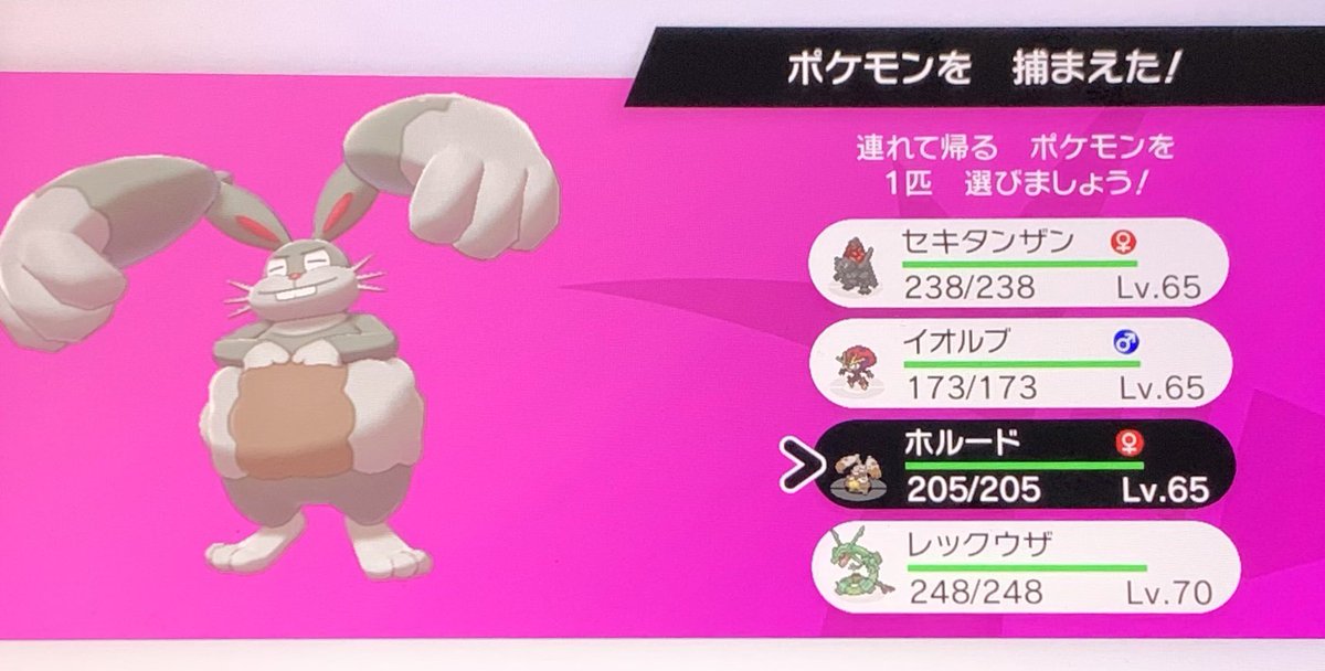 あかばね Atchan Poke53 色違いホルード 色違いaサンドパンおめでとうございます レックウザも早く色違い出ると良いですね٩ W و Twitter