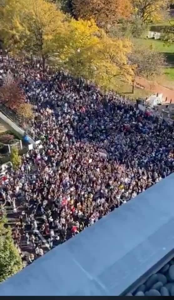 elfaddis's tweet photo. So, we didn’t need mail-in ballots at all? We could’ve voted in person all along? https://t.co/XCTNBU8pP9