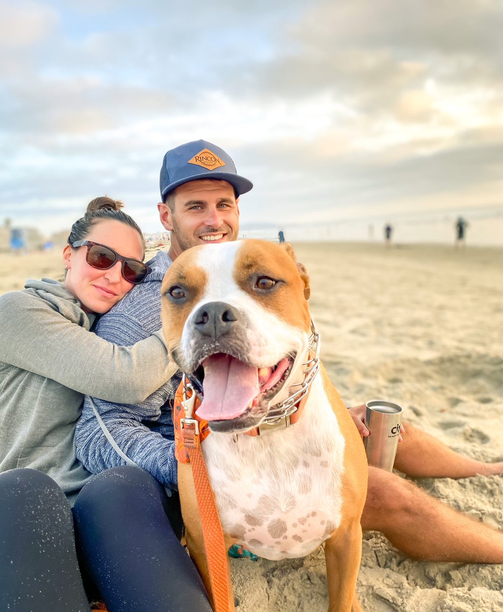 Victoria Costello tweet media