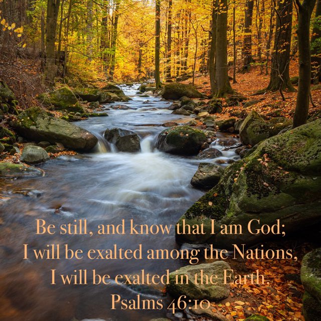 ManiPulimood's tweet photo. I will sing to the Lord as long as I live; 
I will sing praise to my God while I have being. 
May my meditation be pleasing to Him,
For I rejoice in the Lord.

Psalms 104:33-34 https://t.co/3XruacHorc