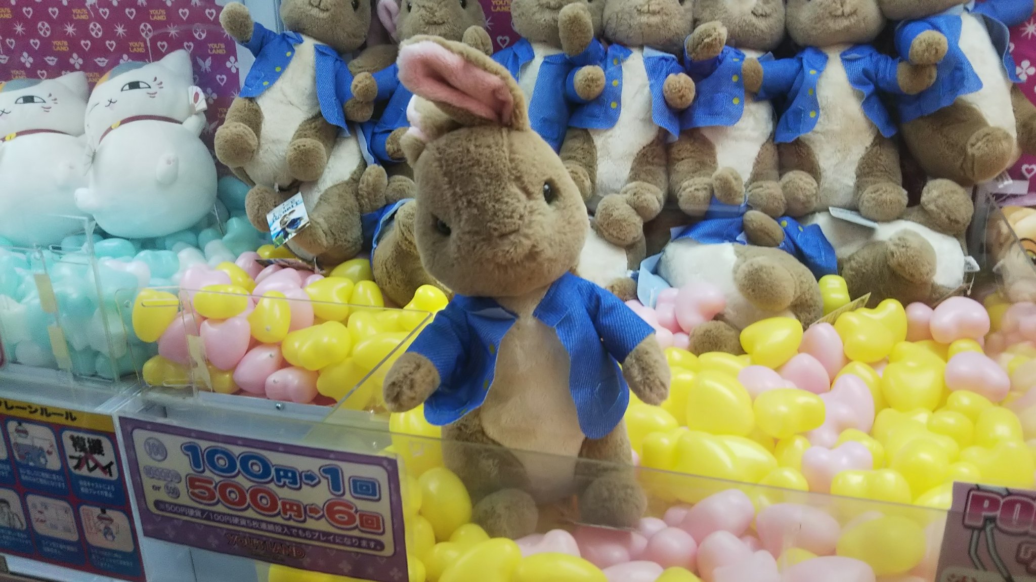 Ichikawa Tamotsu ピーターラビットが立った 笑 イオン イオンモール日の出 ユーズランド T Co K3h7e1dk1e Twitter