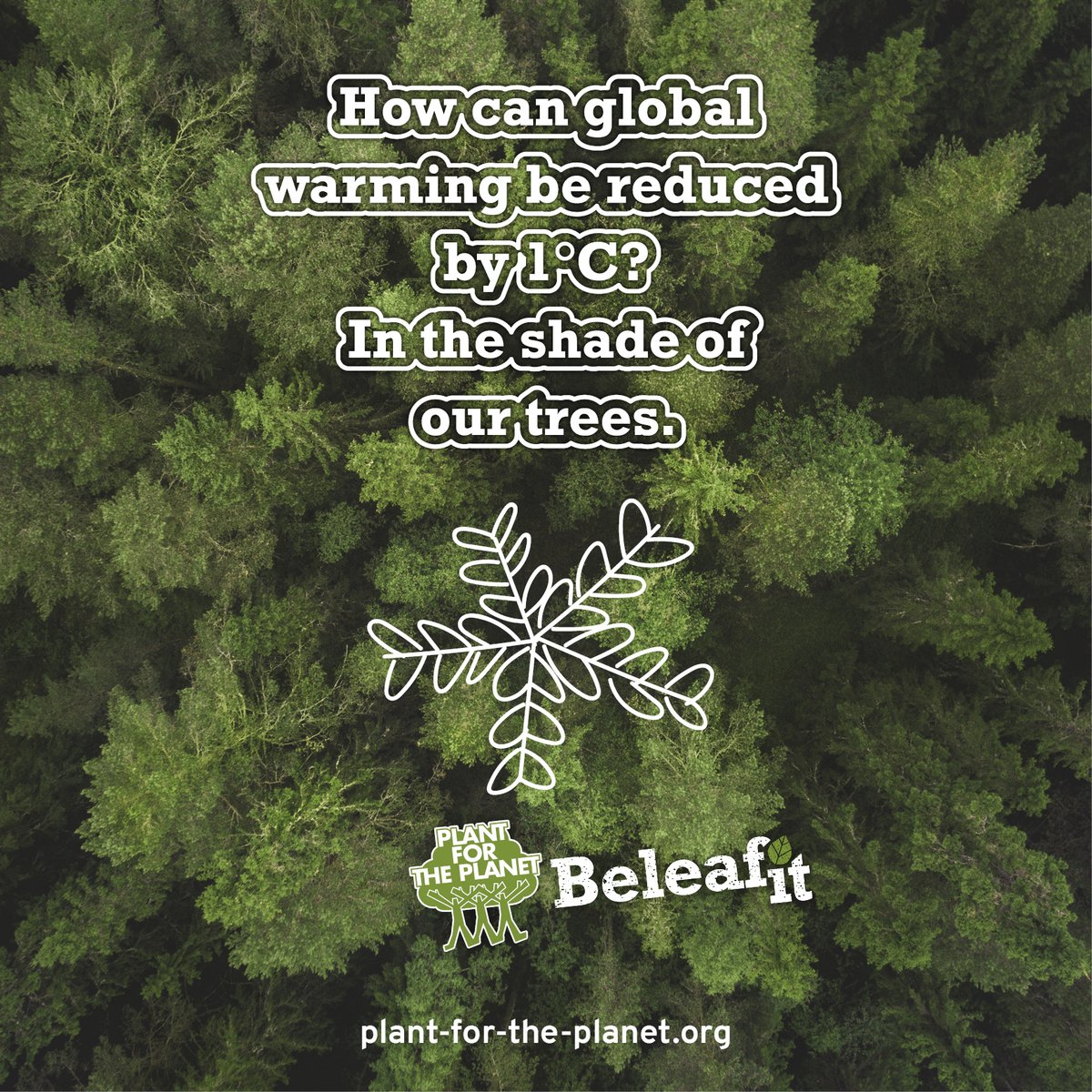 In the next 10 years our aim is to plant one trillion trees and stop the deforestation of rain forests. 🌳 💪 💚
#beleafit and plant with us: weplant.app
