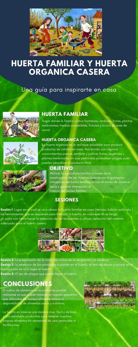 constanza nuñez tweet media