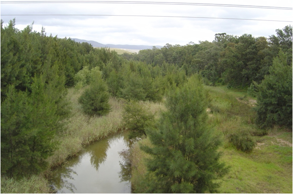 Domestic #PhD scholarship @Macquarie_Uni still available in riparian vegetation #ecology, biogeomorphology and river management. Industry partners @LandcareAust @llsnsw. Go to: goto.mq.edu.au/a7 or @FindAPhD: findaphd.com/search/Project… @MQEarthEnv @MQSciEng