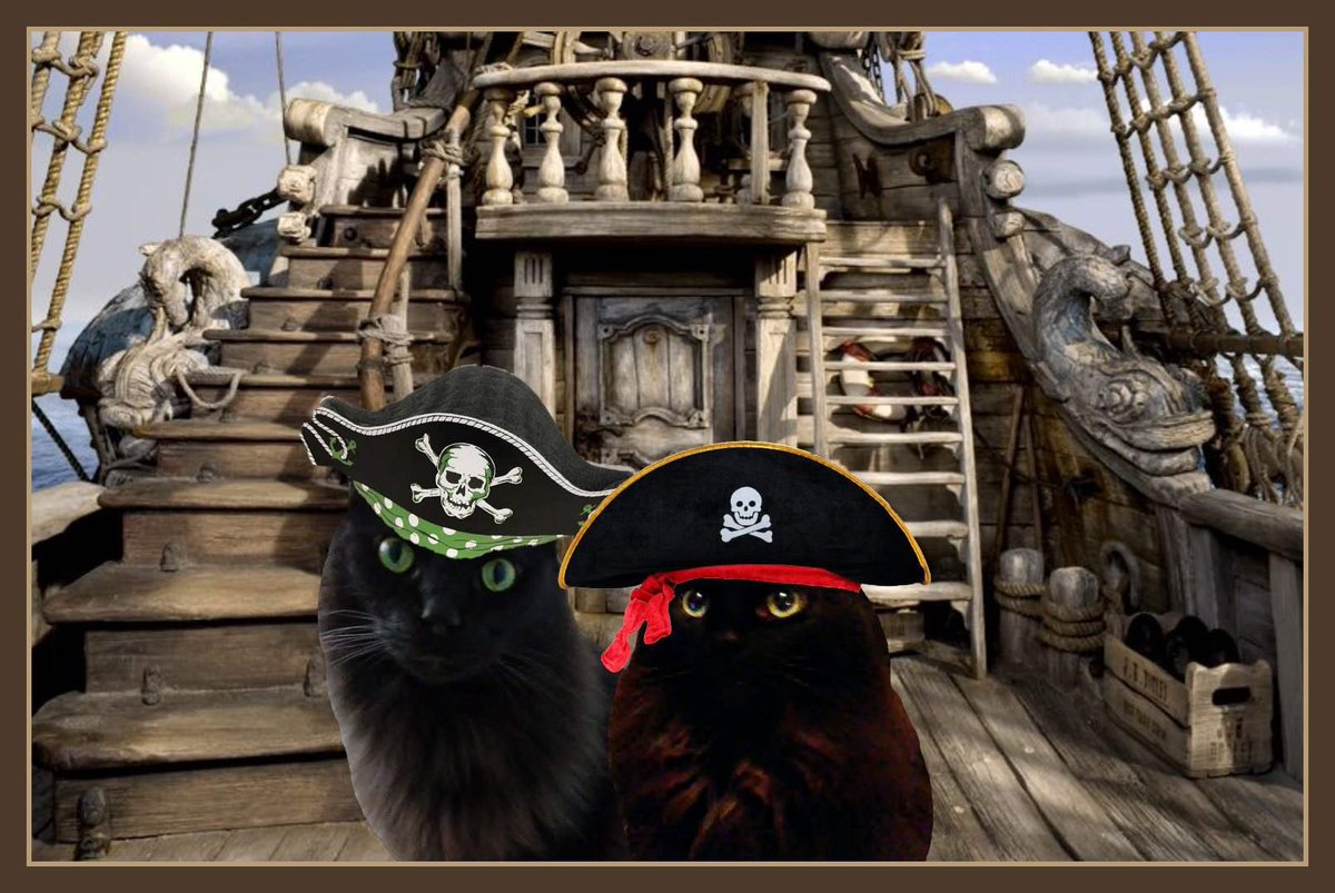 WidgetGizmo's tweet photo. Wee can has wonderings if 1st doggies elect, @ChampBiden & @MajorBiden will gives inspectings of troops?
*puffs up floofy chest*
Or may bees thems comes two are pawties?*
#ZSHQ
@ZombieSquadHQ
#SpaceFurce
@SpaceFurce
#TheAviators
@AnipalAviators
*Wardrobe by @MuddlesDog https://t.co/TdsJQi2yIE