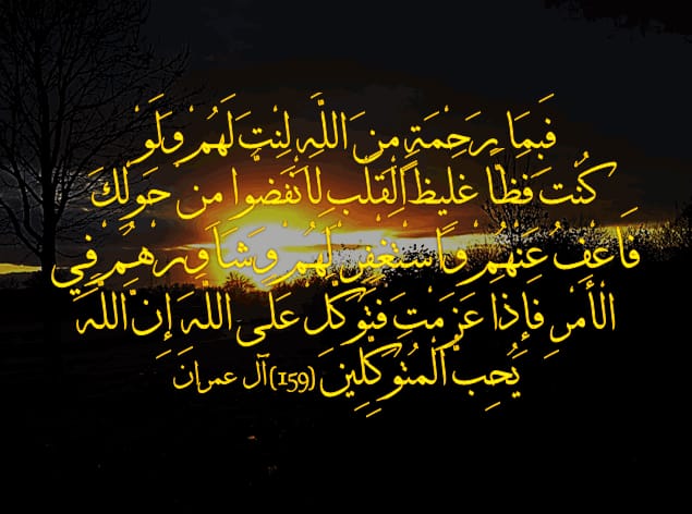 DrMaryanQasim tweet picture