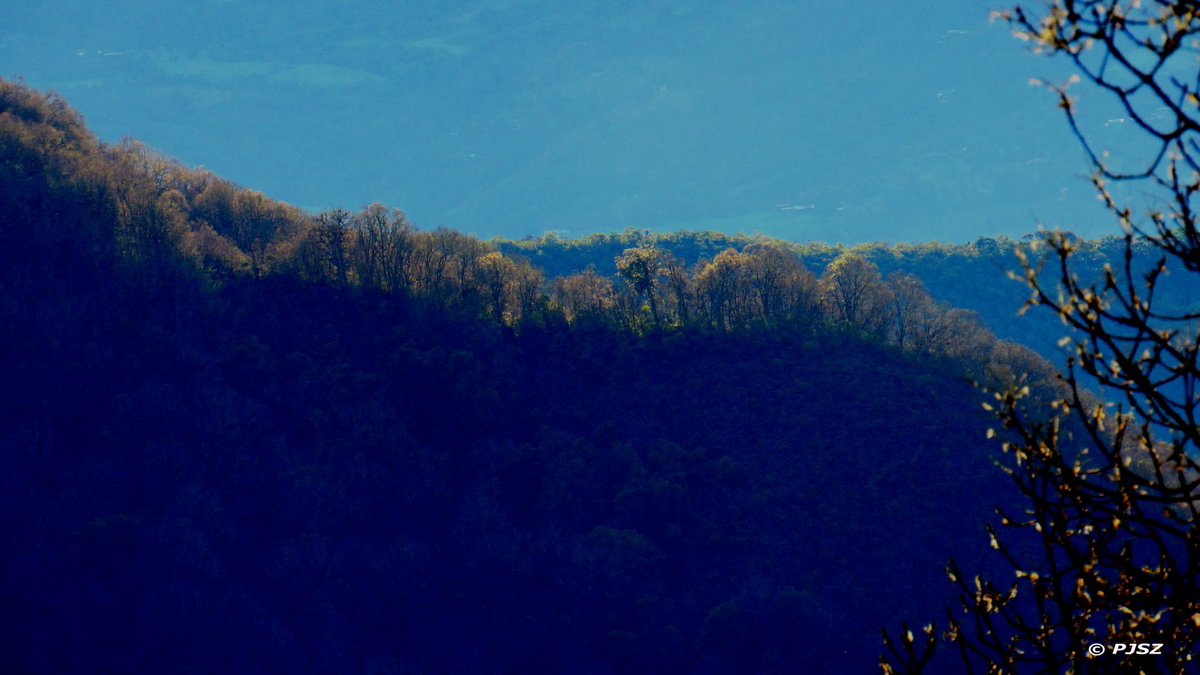 LaIlusionFest's tweet image. Cae la tarde en #ElComún #Bosque #Nariño #Colombia