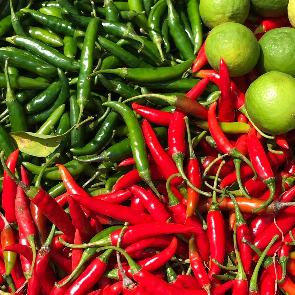 FreshHarvestIND's tweet photo. This season’s fresh red chillies, now sun dried &amp; packed for your kitchen shelf! 😍🌶

If you know your farmers then you can choose to buy small batches of seasonal produce..rather than big large packs from the hyper markets. Eating seasonally fresh produce is healthy! 
#KhetSe https://t.co/bUTxnHwM4E