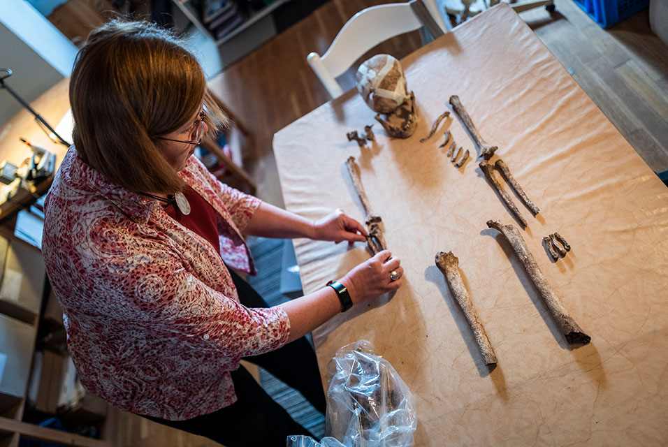 artdaily's tweet photo. ArtDaily recommends:
Ancient skeleton find in Germany offers clues on prehistoric era #ancientskeleton #Germany #prehistoricera #science #newspaper

Read more about this here: https://t.co/C5HMB5IR86 https://t.co/FjeAT15K9l