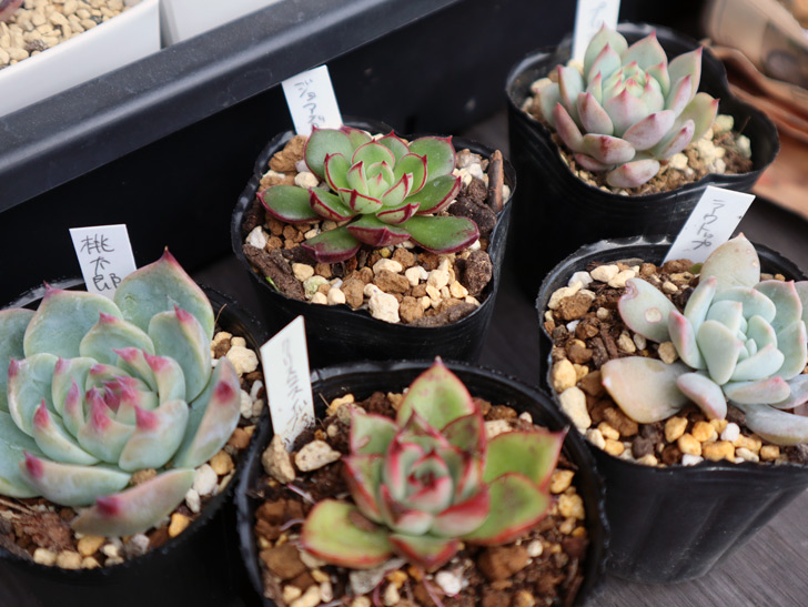 B8 80 8b A8 Ab Twitter Search