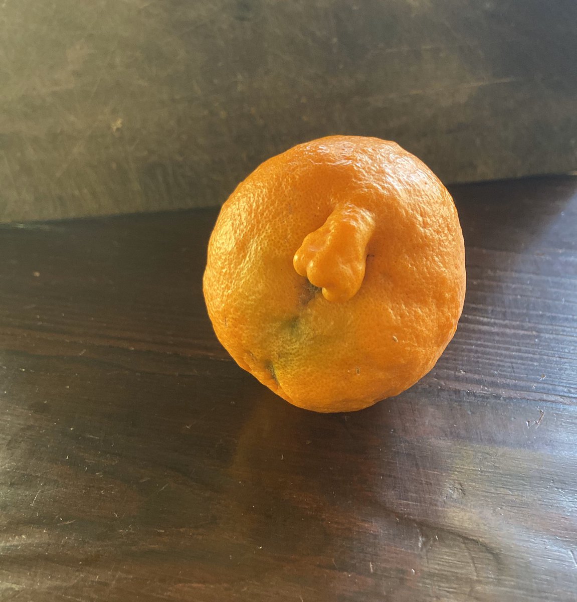 Notmumoftheyear's tweet photo. Look what fell from the tree this morning #orangewasejected https://t.co/ytj2VCbxdS