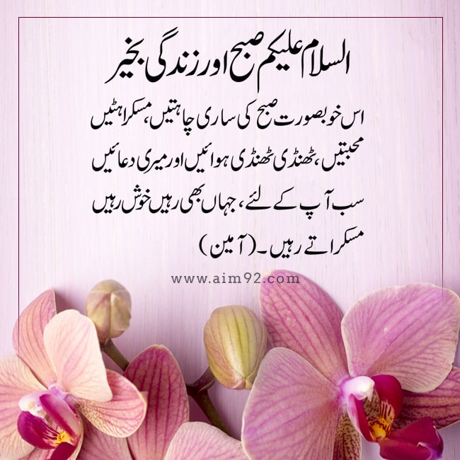 Ashiq Khan (@ashiq46572962) on Twitter photo 
