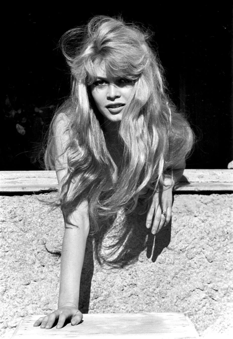 Brigitte Bardot photographed by Jack Garofalo in Cannes in 1957, during the making of LA PARISIENNE.

I've been collecting every photo from this session (I have an obsessive personality), you can find the complete batch here: https://t.co/cRo5afnvZK. 