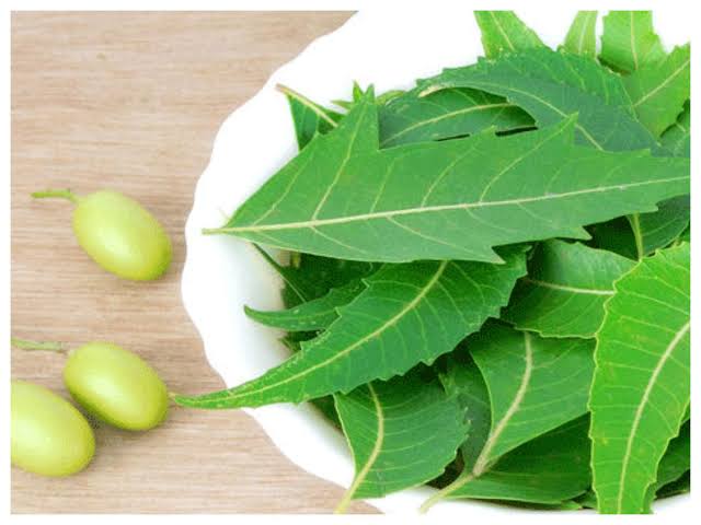 strugglewali's tweet photo. #SundayMorning 
#SundayThoughts 
Today is Sunday and I'm making pudeena tea for charming cheeks.
But I'm struggling for YouTube tutorials . Guys Help ! https://t.co/H9m2Z2txvM