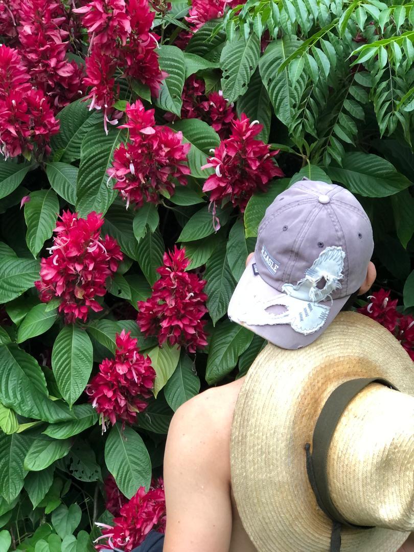 DVSToledo's tweet photo. ✋Por aquí estaba el paso cerrado, pero valió la pena echarle un ojo a este #muro de #color🌸 #viajecitos #exploring #Jibacoa #CamminUs #flora https://t.co/ebFEXq8IrL
