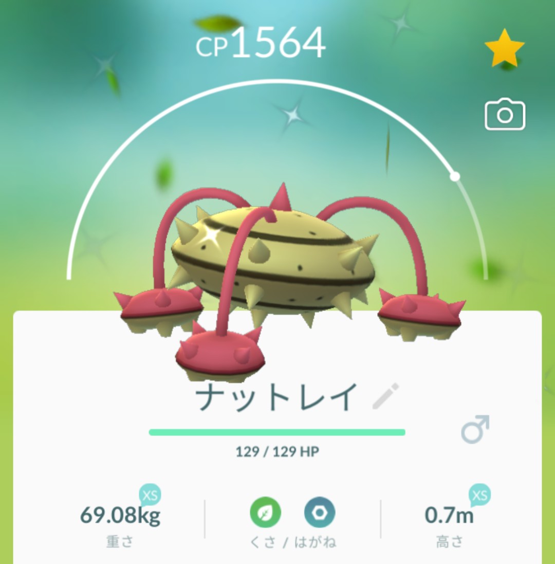 のん842 No Twitter テッシード色違い2匹目 即進化 ポケモンgo テッシード色違い ナットレイ色違い T Co 1v1b6pow67 Twitter