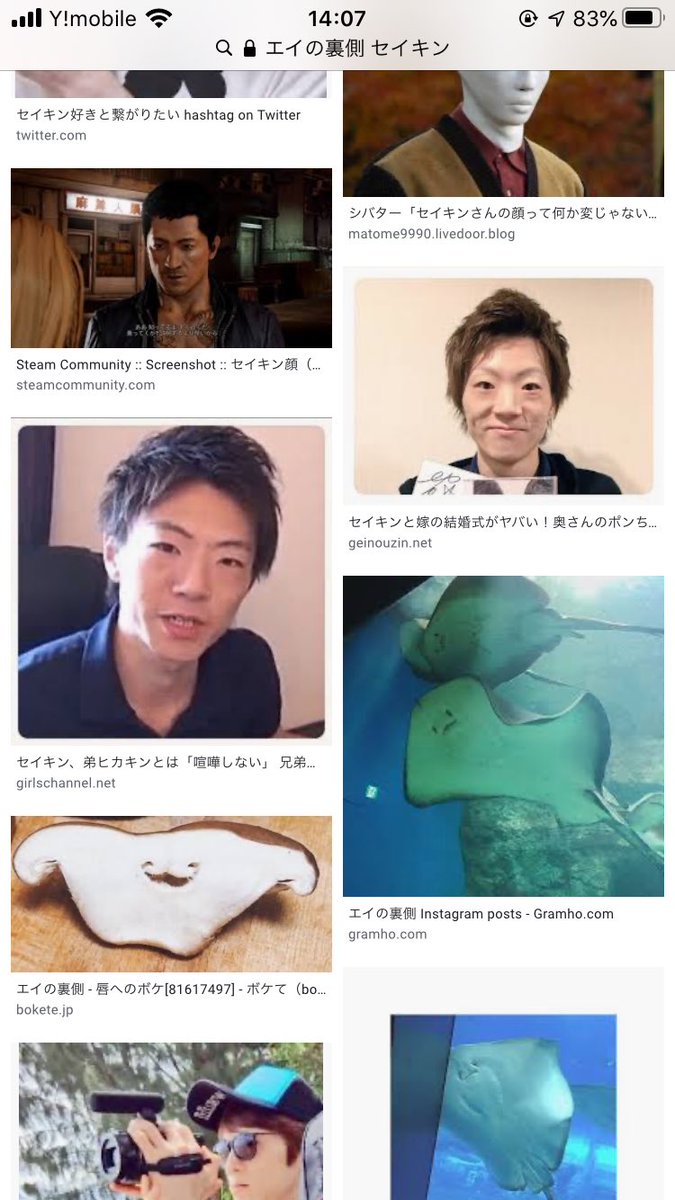 セイキン 顔面エイの裏側って言うな