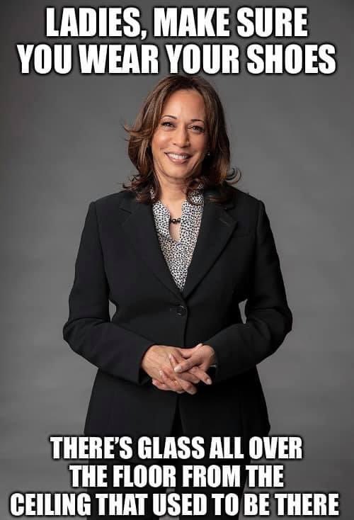 jaustin715's tweet photo. @KamalaHarris thank you for sending a message to every little girl watching tonight that they can be anything they want to be in this country. #VPKamalaHarris #KamalaHarris #KamalaHarrisVP https://t.co/SVTvIzPKoJ