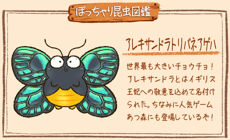 تويتر ぽっちゃり昆虫図鑑 略してぽちゃこん على تويتر ぽっちゃり昆虫図鑑 No 105 アレキサンドラトリバネアゲハ ぽっちゃり体型の昆虫イラストを毎日描いています 今日は美しい見た目のチョウチョです あつ森にも登場してます 蝶 昆虫 虫 تويتر ぽっちゃり昆虫図鑑 略してぽちゃこん على تويتر ぽっちゃり昆虫図鑑 No 105 アレキサンドラトリバネアゲハ ぽっちゃり体型の昆虫イラストを毎日描いています 今日は美しい見た目のチョウチョです あつ森にも登場してます 蝶 昆虫 虫