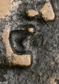 We can also see that fairly significant recessions in the die were used to form the mouths and eyes, a departure from coins minted in Rome.