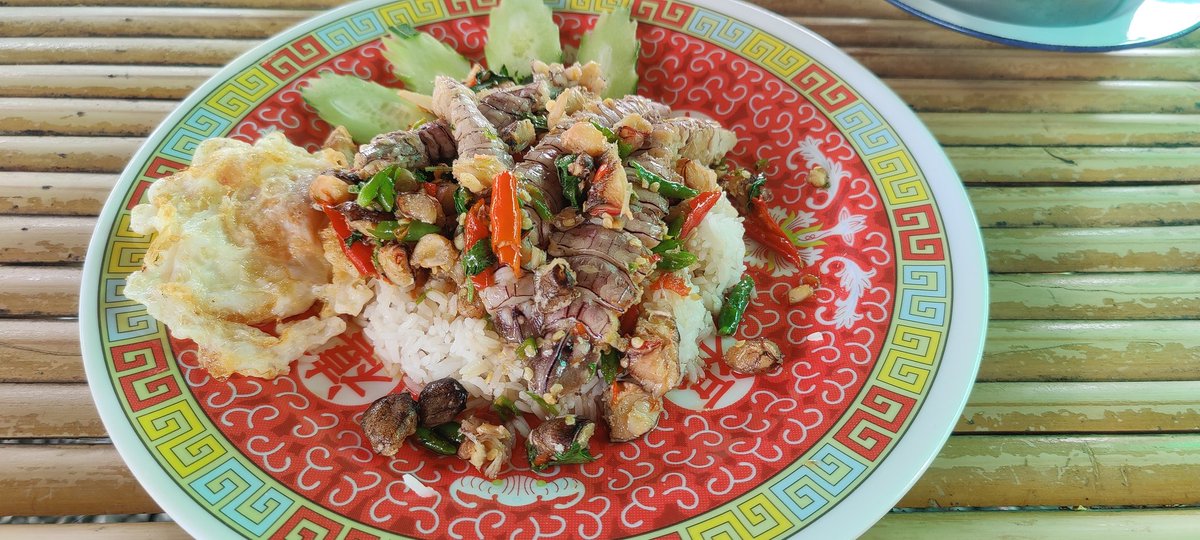 rappech's tweet image. กลางวันแล้ว กินข้าวดีฝ่า