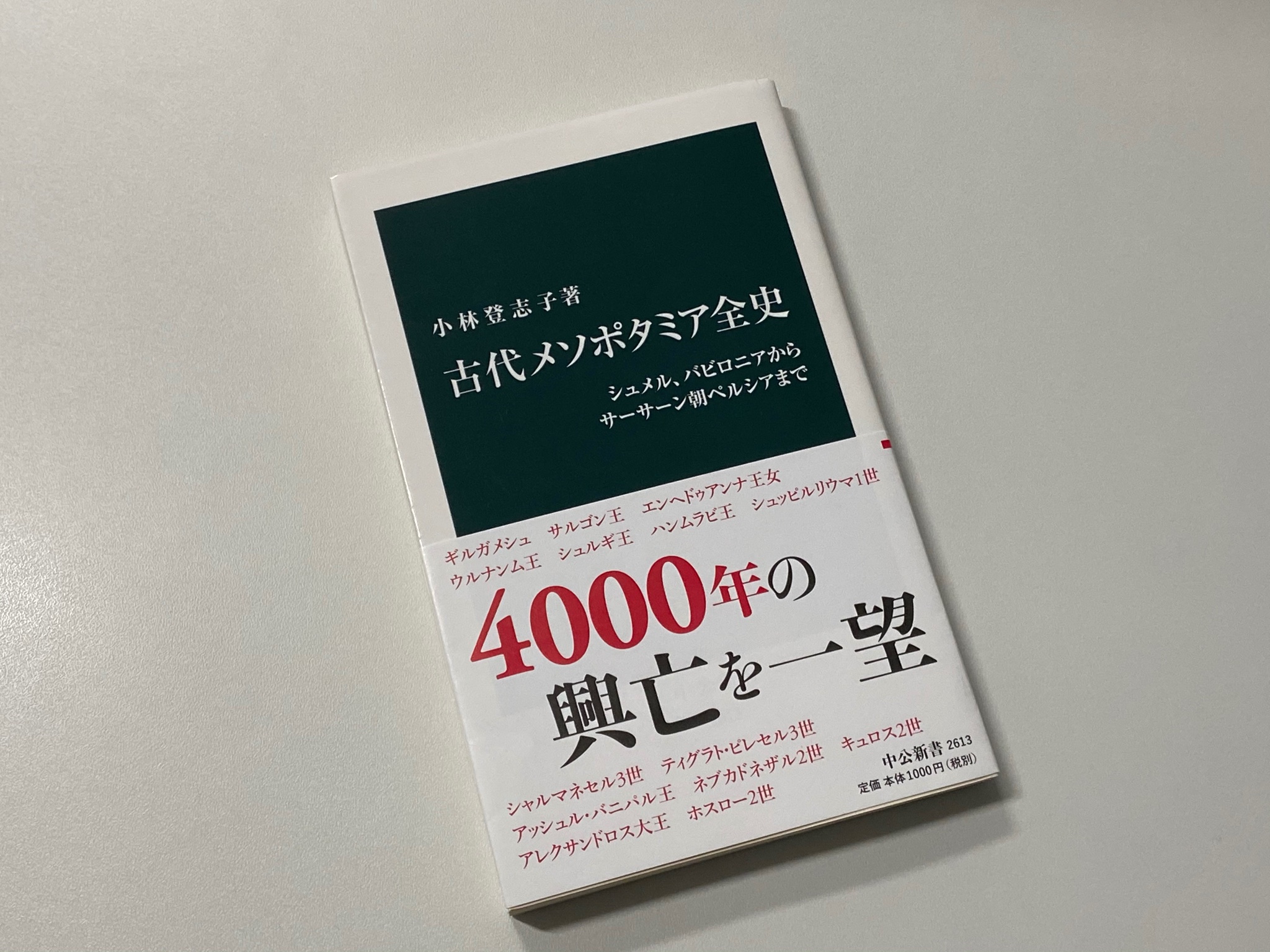 中公新書 小林登志子著 古代メソポタミア全史 の重版が決まりました これで3刷 文明に必須の要素を発明したシュメル人から 数々の王たちと様々な民族の王朝が抗争を繰り広げた軌跡 そしてイスラームの登場までの4000年の興亡を見渡す内容です 同著者