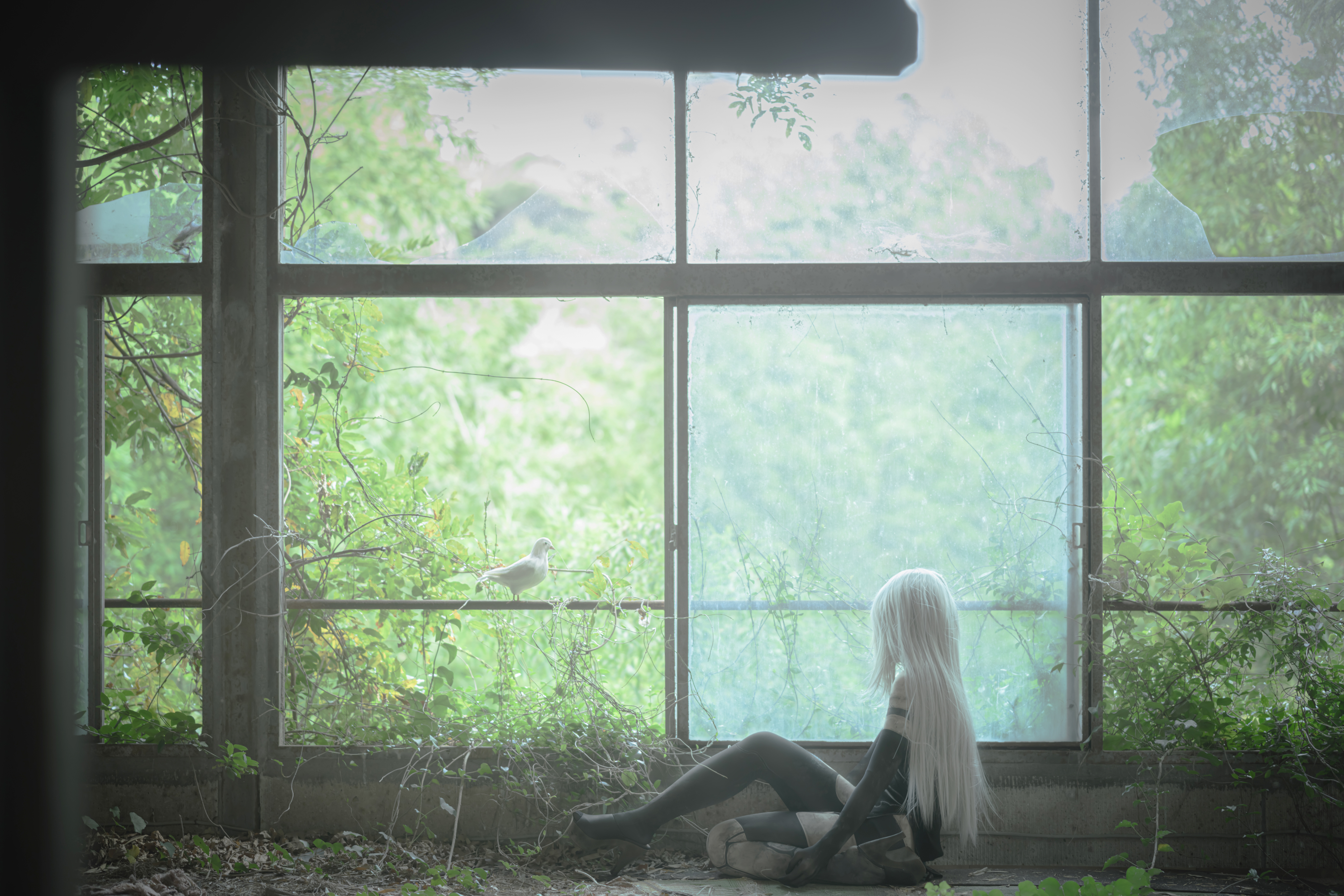 ゼルス Cosplay コスプレ Nier Automata ニーアオートマタ ヨルハa型二号 Weight Of The World ニーア コスプレ Gelus Cos 大谷天空廃墟撮影会 T Co Gduif3ooox Twitter