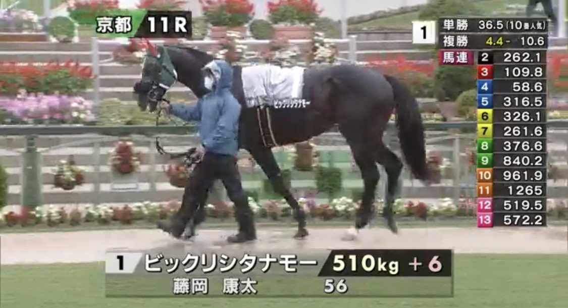 スラガ ウマ娘見てから競馬のお馬さんに興味持つようになったのでビックリシタナモーとかオキテスグメシとかタベテスグネルもウマ娘になってくんね かな って思ってる T Co Gzjzhkzuhx Twitter