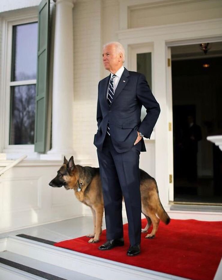 Ibra_Amirat's tweet image. 🐕Symbole ! Le meilleur ami de l’homme est de retour à la Maison Blanche 🇺🇸 Les bergers allemands 🐾Champ (dans la famille depuis 2008) et 🐾Major (adopté d’un refuge) deviennent les nouveaux #FirstDogs 👍 #bidenharris2020 #WhiteHouseDogs