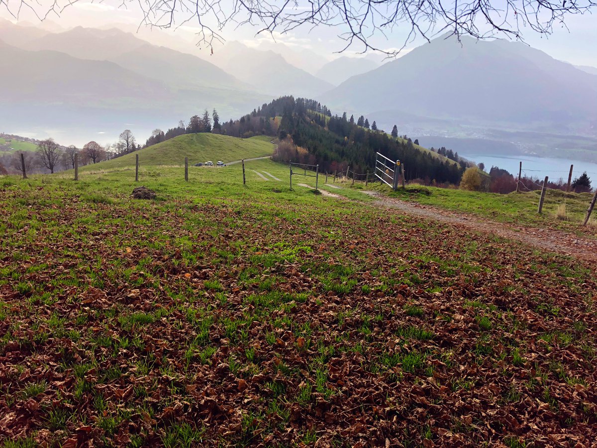 GeroldSchlegel's tweet photo. Ausblick und Weitblick mit Bilderrahmen
#GSchoue https://t.co/RAUnAzr7kZ