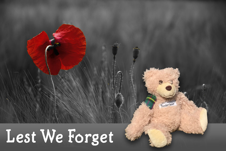 On a very different Remembrance Sunday we remember all those who gave their lives for the greater good in the two World Wars and many other conflicts.

Although we cannot gather this year as normal, they are forever in our thoughts. 

<a href="/ColdstreamGds/">Coldstream Guards</a> @Soldierscharity