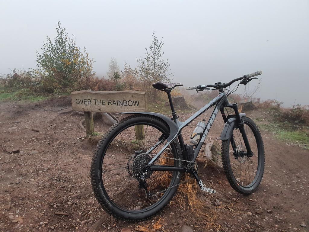 PJGThomas's tweet photo. Somewhere #cannockchase #monkeytrail https://t.co/B9e3MiMOfD
