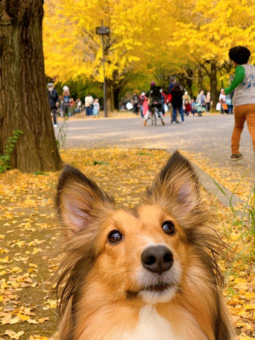 Twitterのコスプレ画像22